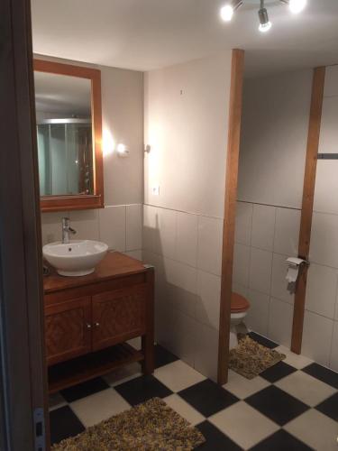 a bathroom with a sink and a mirror and a toilet at The Lions Den - La Loge Guest House in Mantilly