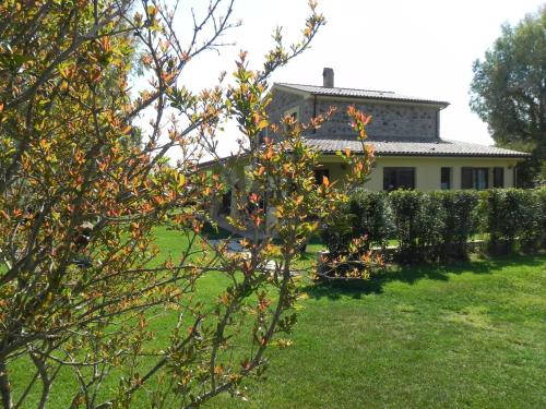 Bagno RoselleにあるB&B Monte di Bùの手前の木を背景に建つ家