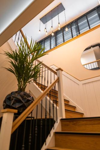 a house with a potted plant on the stairs at Bed en Baguette in Burgh Haamstede