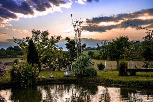 a view of a pond with ducks sitting on the grass at restoran i prenoćište Egghus in Našice