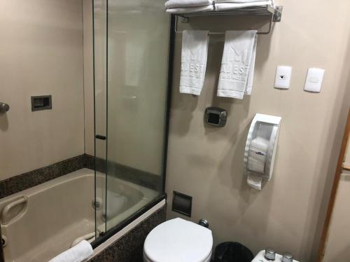 a bathroom with a shower and a toilet and a sink at Majestic Rio Palace Hotel in Rio de Janeiro