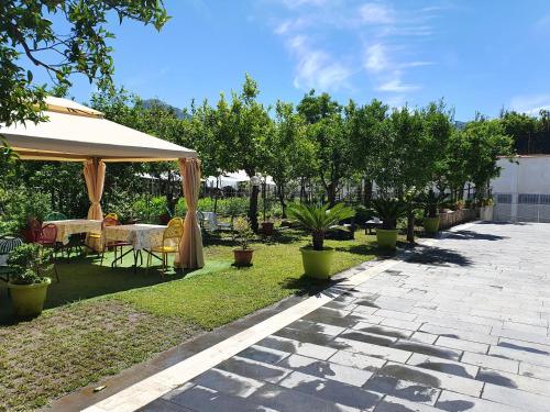 Gallery image of YourHome - Casa Aristide in Sant'Agnello
