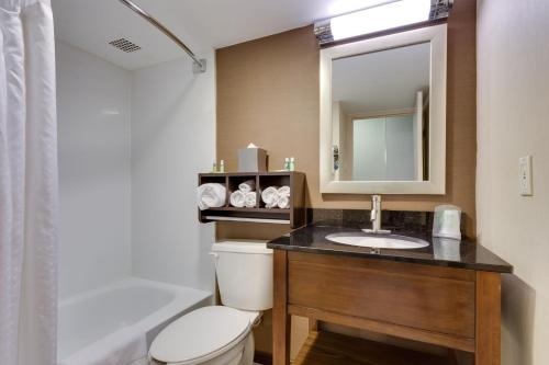 a bathroom with a toilet and a sink and a mirror at Holiday Inn Express Washington DC SW - Springfield, an IHG Hotel in Springfield