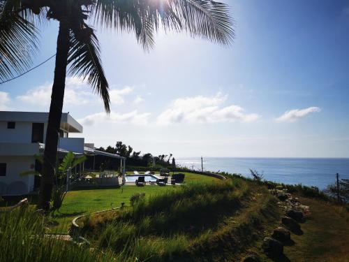 a palm tree and a house with the ocean in the background at Ocean Breeze Cove - Luxury Retreat in Pedasí Town