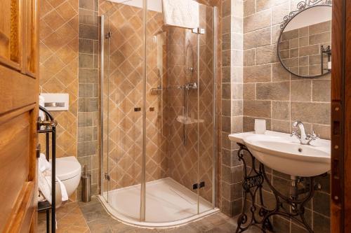 a bathroom with a shower and a sink and a toilet at Casa Kraus in Criţ
