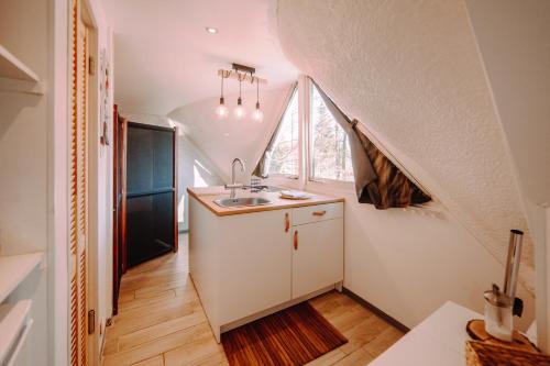 Gesves的住宿－Chalet Boréal avec bain à bulles - In the Woods，一个带水槽和窗户的小厨房
