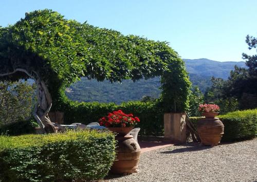 Villa Di Collina – Photos 3
