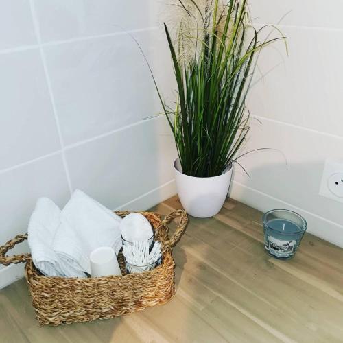 a basket of towels and a plant on a wooden floor at ETCHE ARGUINIA CHAMBRES HOTES et SPA in Montory