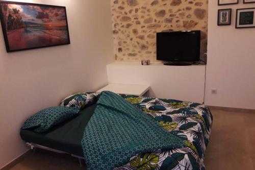 une chambre avec un lit avec une télévision au mur dans l'établissement Les châtaigniers du Thaurac, à Saint-Bauzille-de-Putois