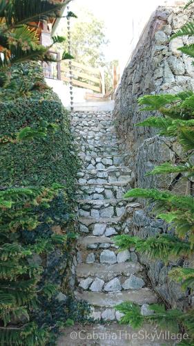 a stone path with plants on a stone wall at Villa The sky village in Jarabacoa