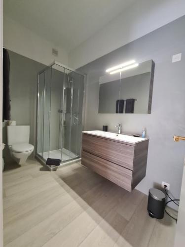 ein Bad mit einem Waschbecken, einer Dusche und einem WC in der Unterkunft Osteria La Riva in Locarno