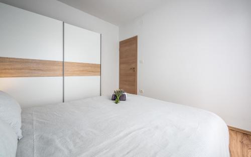 Apartment Drenje 3 – Photos 4