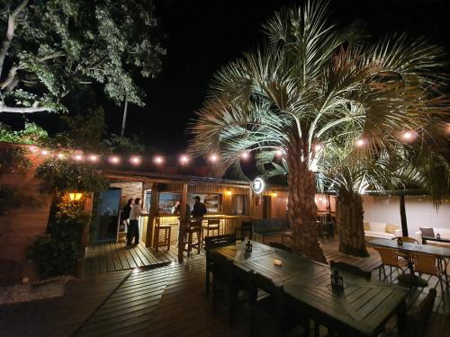 a restaurant with tables and a palm tree at night at RocaMar Hostel Boutique in Punta del Este