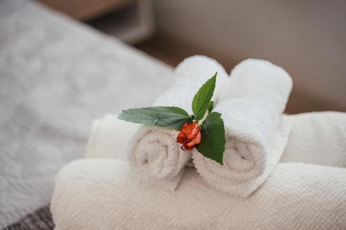 a towel with a flower on top of it at Bonito Paraiso Ilha Grande in Abraão