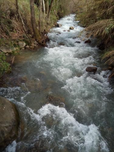 un corso d'acqua con rapide in cima di Orna's Corner a Yuval
