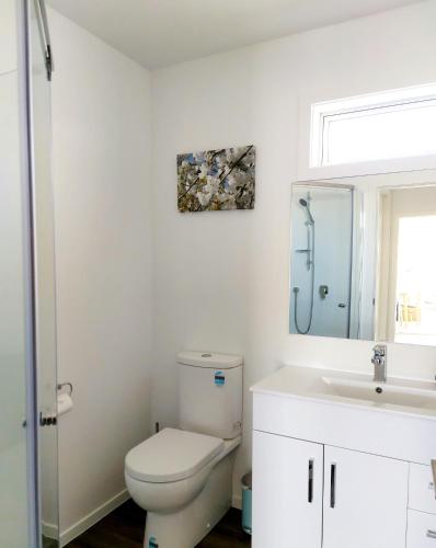 a bathroom with a toilet and a sink and a mirror at LAKE ESCAPE - Warm quiet and spacious two bedroom Apartment in Otematata