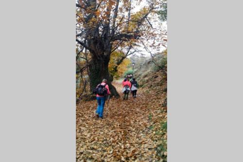 a group of people walking down a trail with leaves at Casa Pedregosa Bubión in Bubión