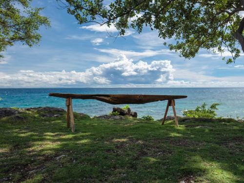 a wooden bench sitting on the grass near the ocean at Granada Beach Resort - Adults Only in Boljoon