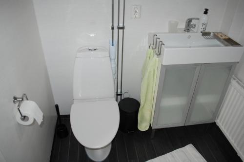 Un baño con un inodoro blanco y un lavabo. en Grottstugan, en Ljungskile