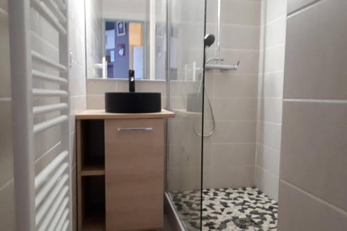 a bathroom with a shower with a sink and a mirror at T3 climatisé avec piscine et vue sur mer in Sète