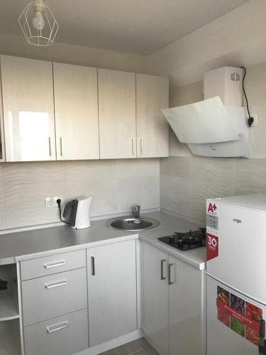 Apartment Metro Minska في كييف: مطبخ بدولاب بيضاء ومغسلة وثلاجة