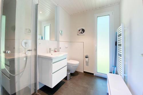 een badkamer met een wastafel, een douche en een toilet bij Gronenberger Mühle Haus 02 in Scharbeutz