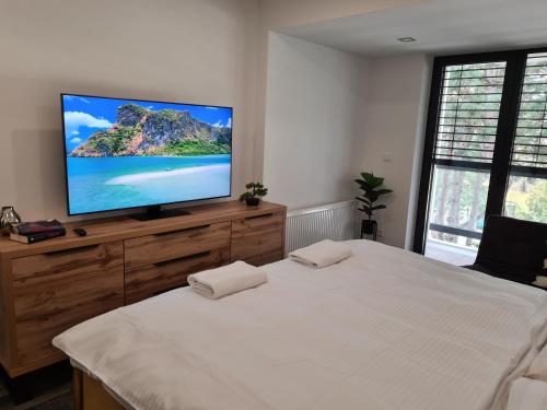 a bedroom with a flat screen tv on top of a bed at 365 apartmány LINEA in Piešťany