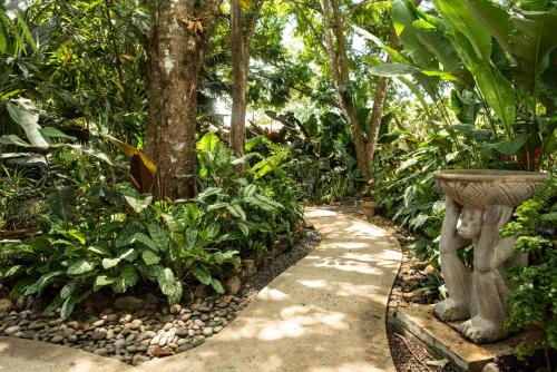 a path in a garden with a tree and plants at Las Brisas del Sur in Ojochal