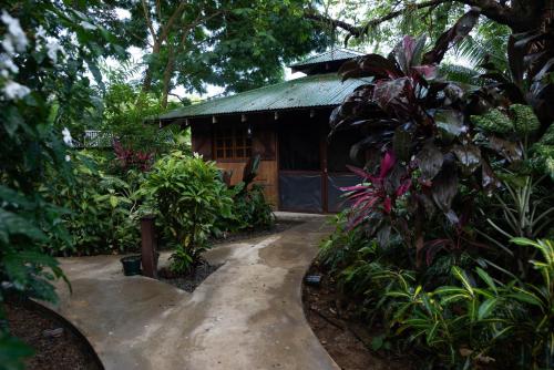 a path leading to a house in a forest at Las Brisas del Sur in Ojochal