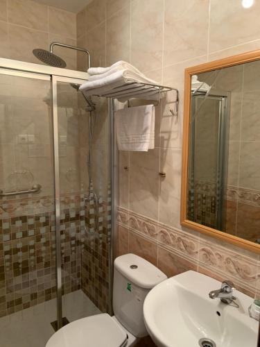 La salle de bains est pourvue de toilettes, d'un lavabo et d'une douche. dans l'établissement Hotel Herranz, à Alcoroches