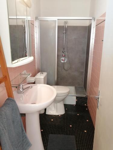 une salle de bain avec un lavabo, des toilettes et une douche dans l'établissement L Hote Saison, à Conflans-sur-Seine