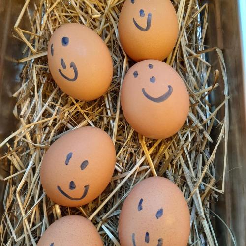 four eggs with faces drawn on them in a basket at Hotel Garni Landhaus Florian in Bad Blumau