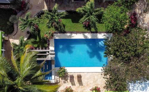 an overhead view of a swimming pool with palm trees at La Casa de las Lunas in Chichén-Itzá