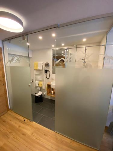 a bathroom with a glass door and a sink at Apart Renate in Galtür