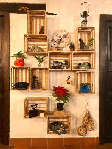 a wall with wooden shelves with plants on it at Hotel Boutique Casa Grande in Piedecuesta