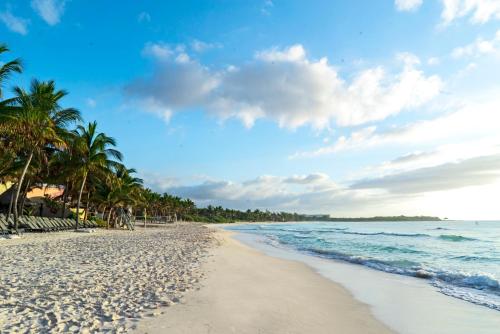 a beach with palm trees and the ocean at Catalonia Royal Tulum Beach & Spa Resort Adults Only - All Inclusive in Xpu Ha