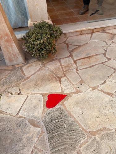 a red heart on a stone floor next to a plant at Agroturismo S Hort de Can Carrio AG226 in Ses Salines