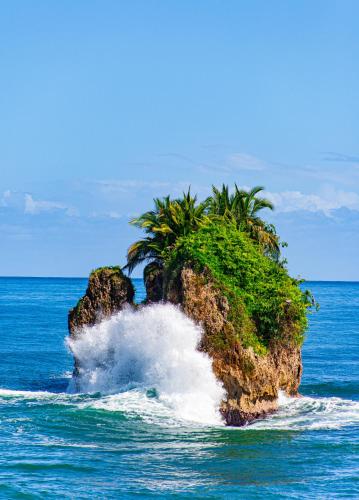 an island in the ocean with a palm tree on it at Bambutel Cocles in Puerto Viejo