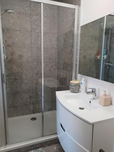 een badkamer met een douche en een witte wastafel bij Uitzicht op het MAS in Antwerpen