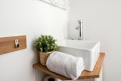 a bathroom with a sink and a potted plant at Charming 3 Bedroom House garden & parking - next to CS Lewis Nature Reserve in Oxford