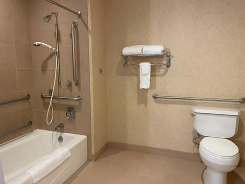 a bathroom with a toilet and a bath tub at Wellsworth Hotel in Southbridge