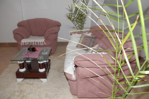 a living room with a couch and a chair and a table at Guesthouse Vila Nova in Morović