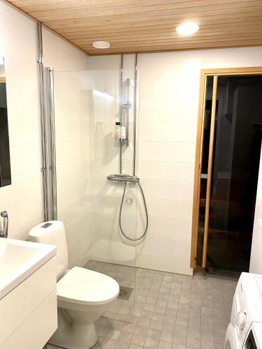 a bathroom with a shower with a toilet and a sink at The River 31, Baritoni in Pori