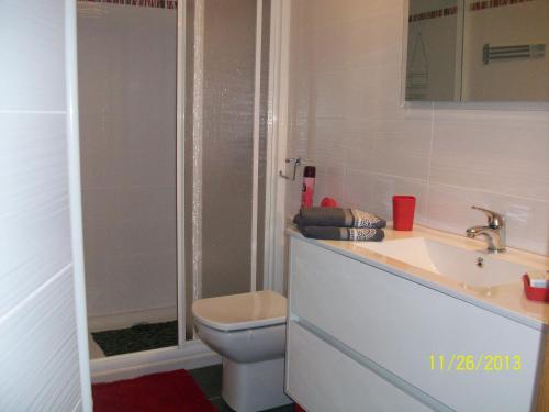 a bathroom with a toilet and a sink and a shower at Appartement Larraburuko-Borda in Sare