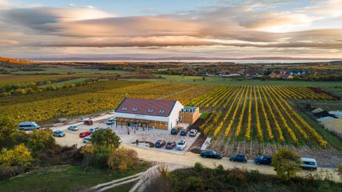 an aerial view of a barn and a vineyard at Dobosi Birtokközpont in Szentantalfa