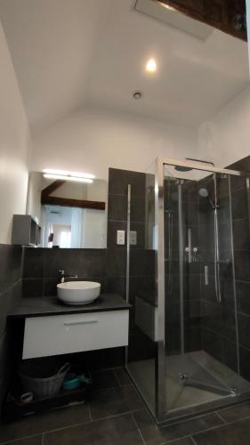 une salle de bain avec une douche en verre et un lavabo dans l'établissement Domaine Ravy-Magnolia, à Saint-Symphorien-sur-Saône