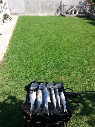Banda ryb na grillu w trawie w obiekcie Apartments Stevo Nikočević w Barze