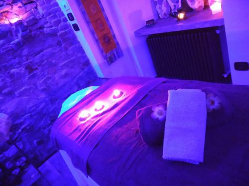 a bedroom with a bed with purple lights on it at Casa Pulci in Grinzane Cavour