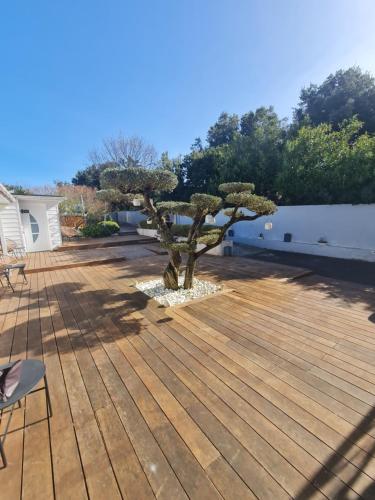 a wooden deck with a tree on top of it at Hôtel Le Sens in Vaux-sur-Mer