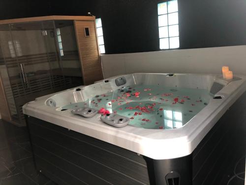 a bathroom with a jacuzzi tub filled with toys at Villa del catalunya in Perpignan